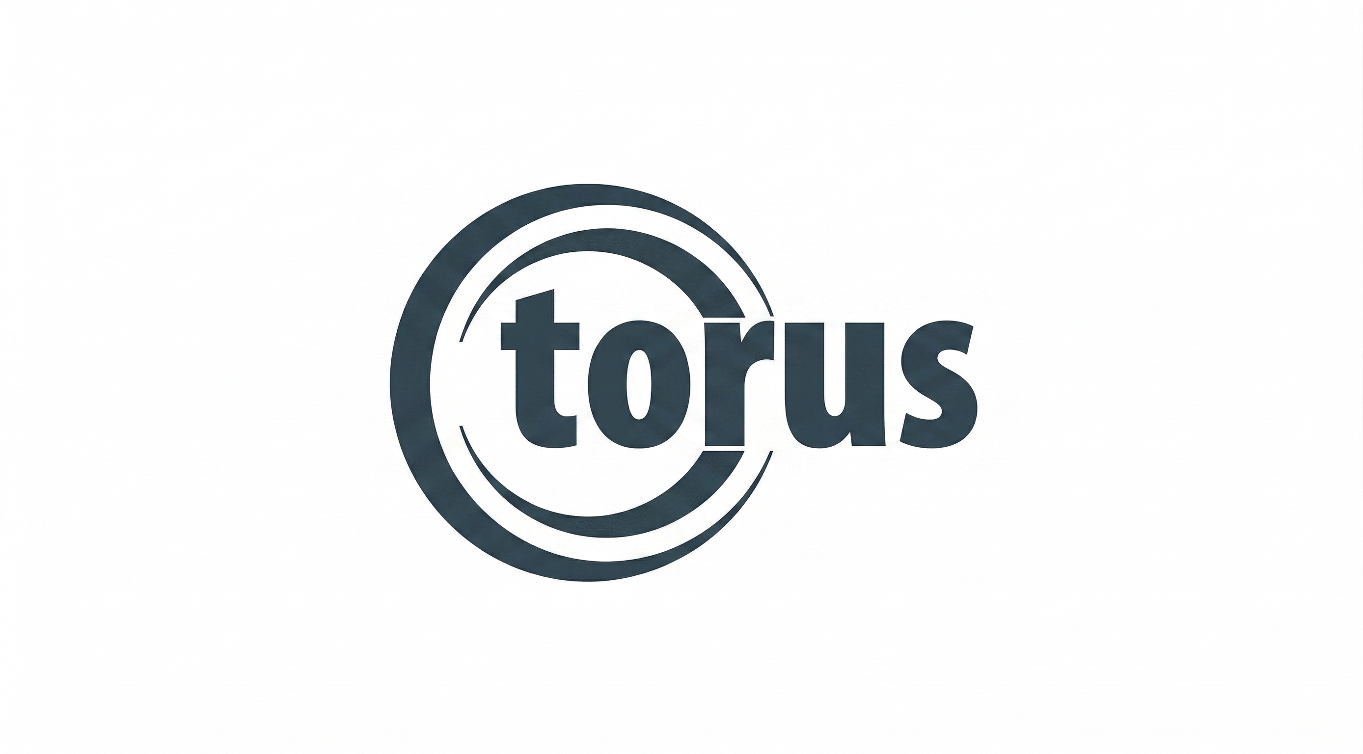 Logo TORUS